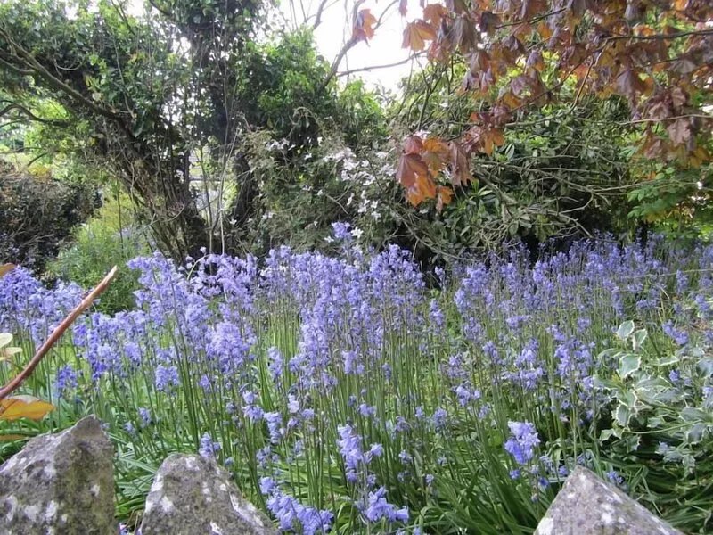 Holiday in the center of Ireland