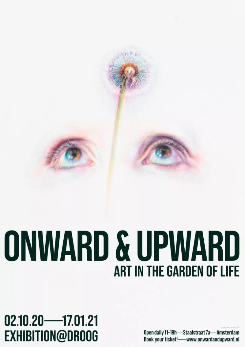 ONWARD&UPWARD - Art in the Garden of Life