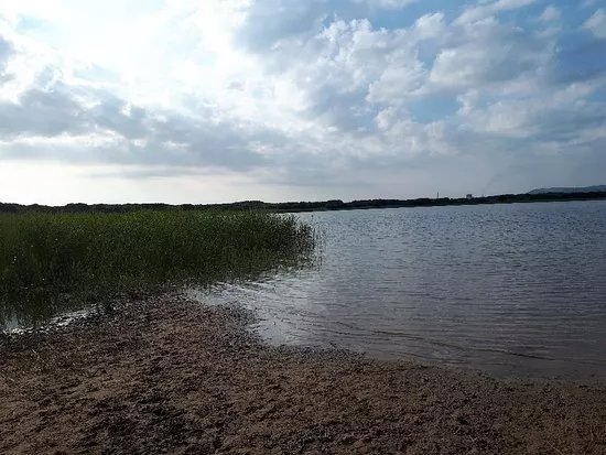 Kenfig National Nature Reserve