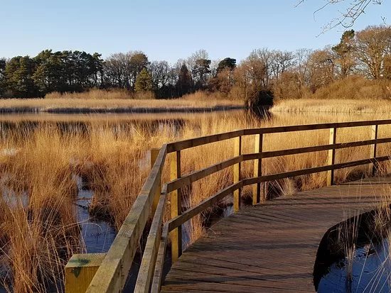 Englemere Pond