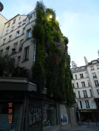 L'Oasis d'Aboukir