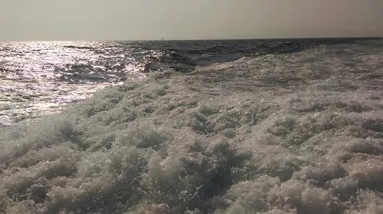Panormitis Marine Enterprises S.C.