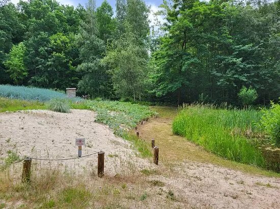 Crimmitschauer Wald