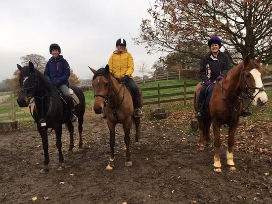 Wayside Stables