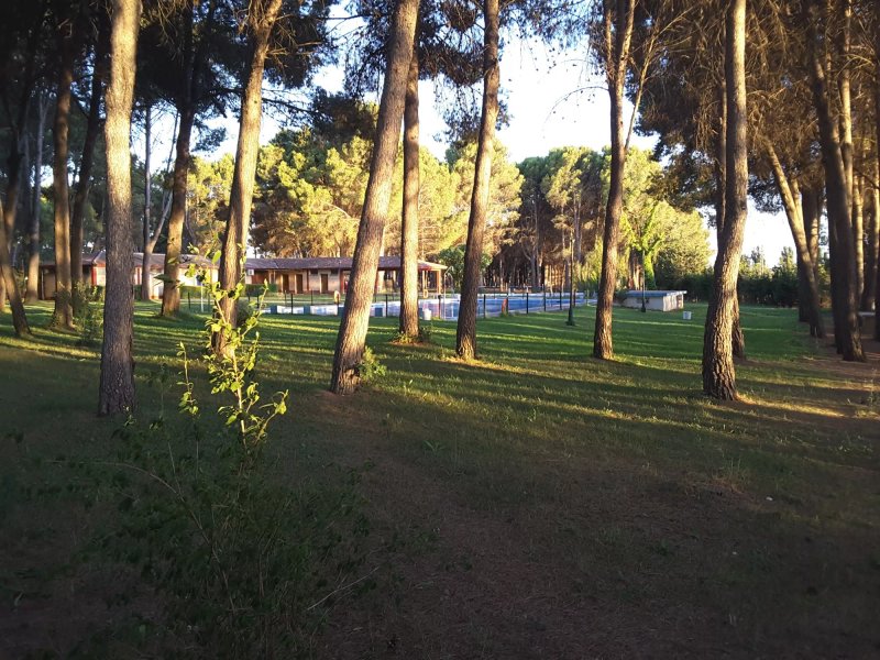 Camping El Temple