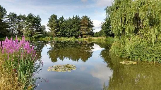 West Pitt Farm Fishery