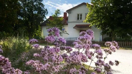 Konstgalleri Johannes Nevala