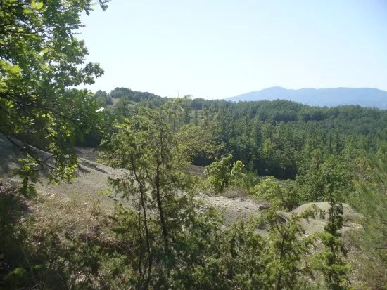 Riserva Naturale Regionale e Oasi WWF dei Ghirardi