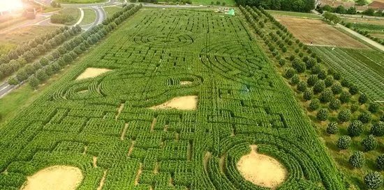 Labyrinthe de Senart au Carre