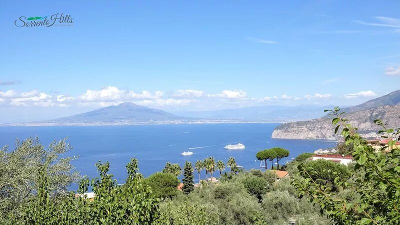 Sorrento Hills - View of the bay