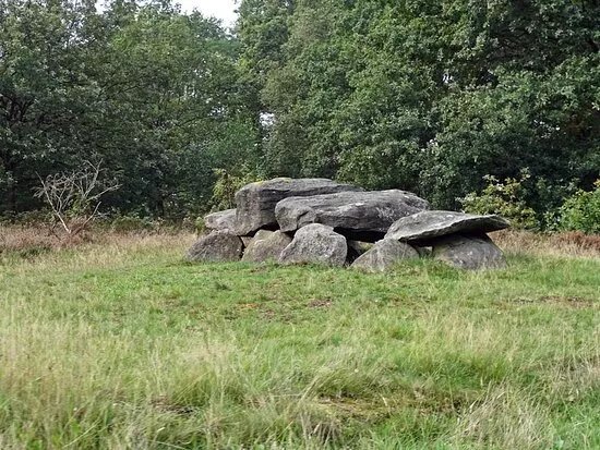 Hunebed D41
