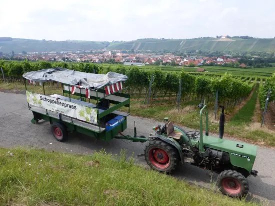 Weingut Otmar Zang