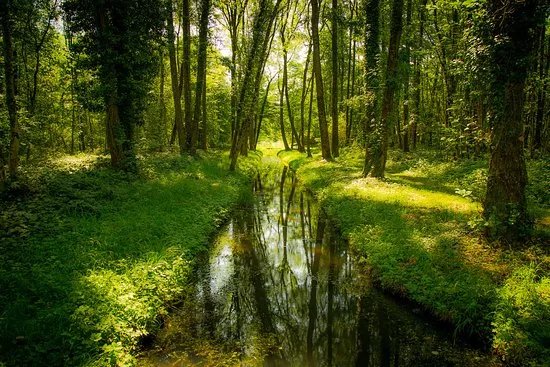 Reserve Naturelle des Grangettes