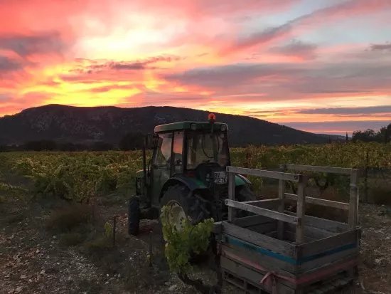 Domaine Saint Jean du Barroux