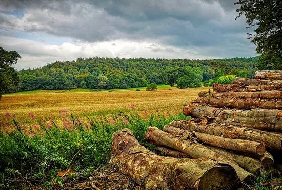 Guisborough Forest & Walkway Visitor Centre