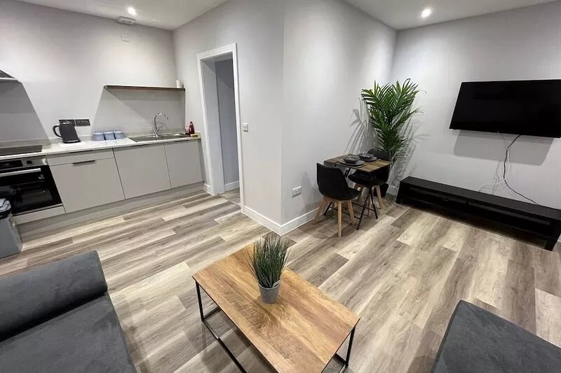 Luxury Apartment Wifi/Netflix