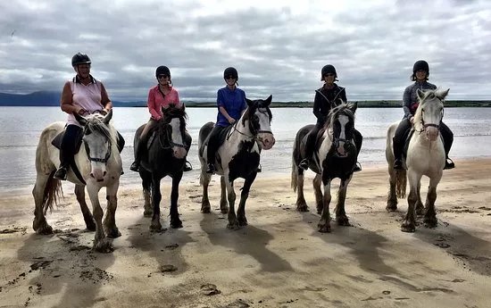 Long's Horse Riding