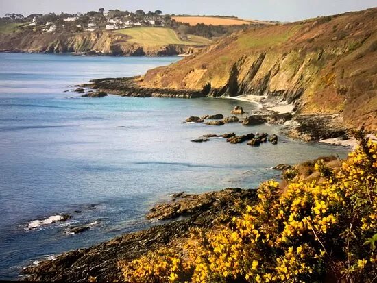 Sunny Cove (Arthur's Beach)