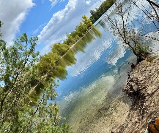 Hundestrand Binsfeld