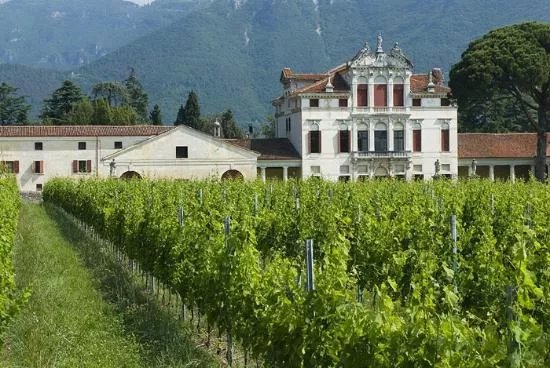 Villa Angarano