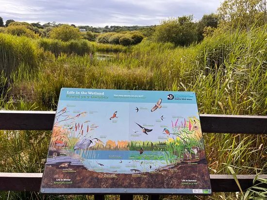 Goodwick Moor Nature Reserve