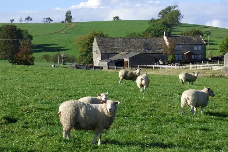 Rural Seclusion with panoramic countryside views, dog friendly, free WiFi.