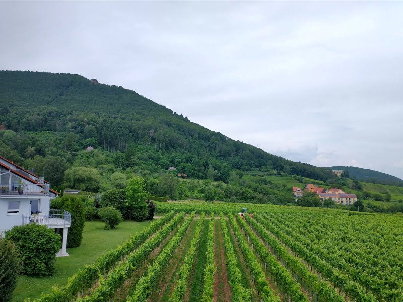 Gaestehaus Nossek