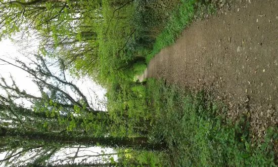 Haw Park Wood