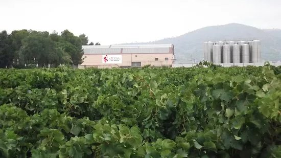 Bodega Santa Catalina del Manan