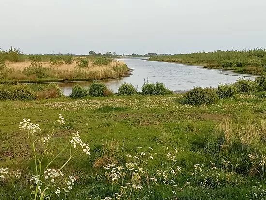 Beningerslikken naturereserve
