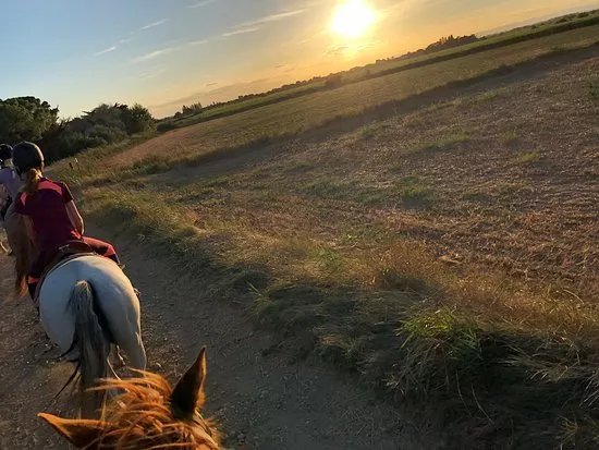 Ranch Le petit Sam