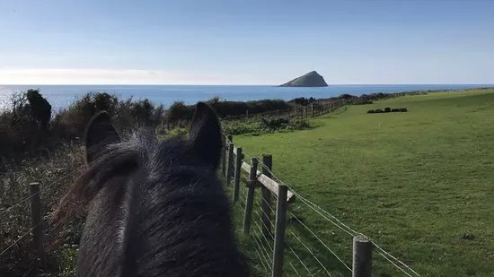 Wembury Bay Riding School