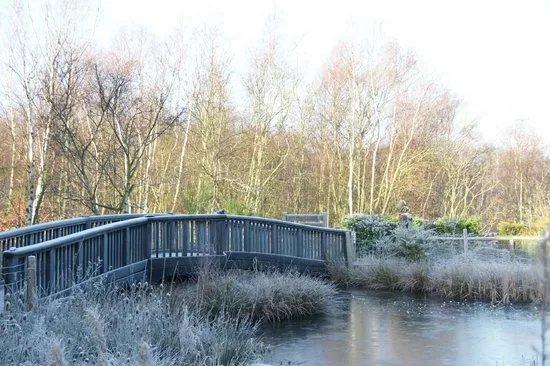 Shorne Woods Country Park