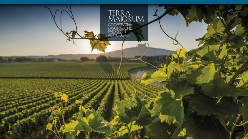 Cooperativa Lavorazione Prodotti Agricoli Terra Maiorum