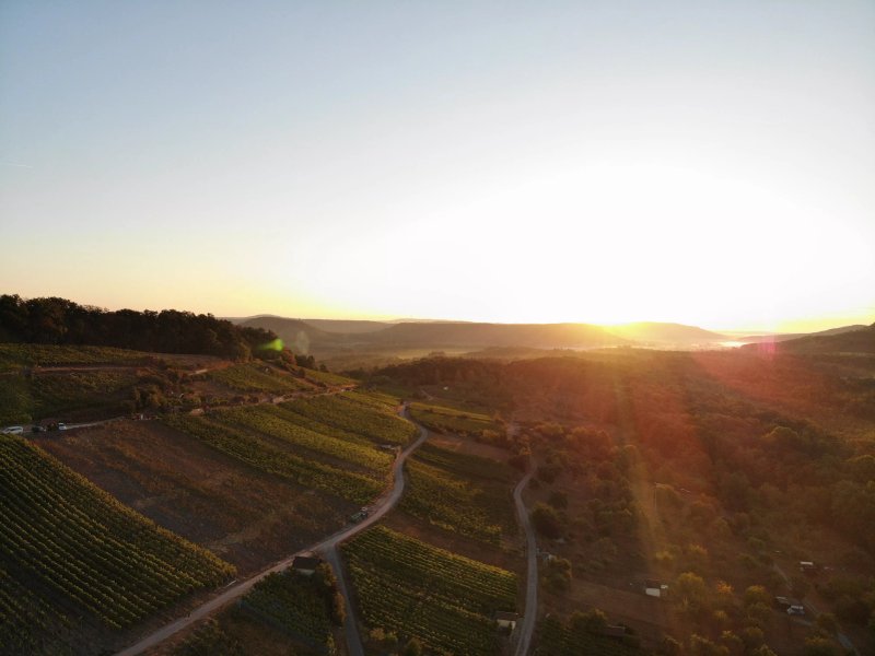 Weinstube in der Schmiede