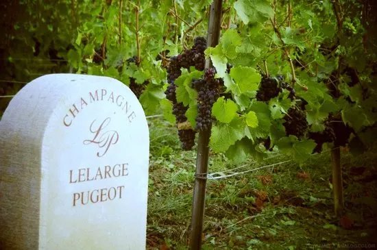 Champagne Lelarge-Pugeot