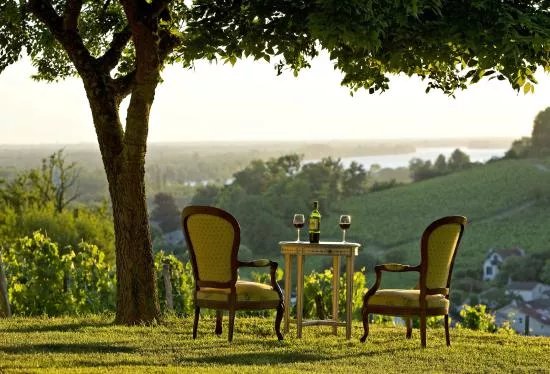 Chateau Cassagne Haut-Canon