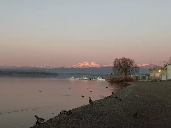 Parco Luigi Zanzi