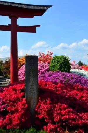 Japanese Garden Pisarzowice
