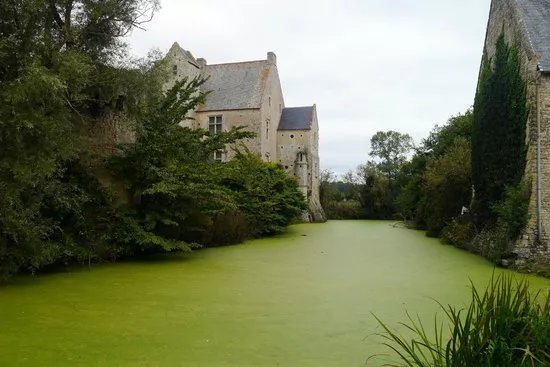 Le Manoir d'Argouges