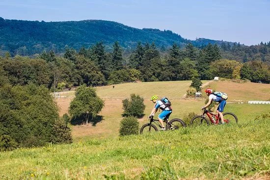 Mountainbike Ruhrgebiet