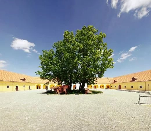 Centrum Eden