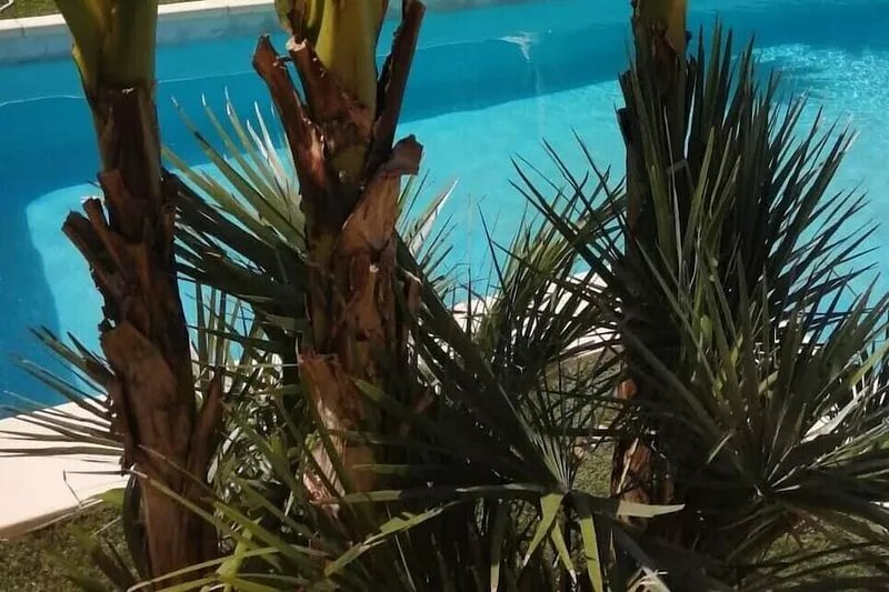 Villa with pool near the sea