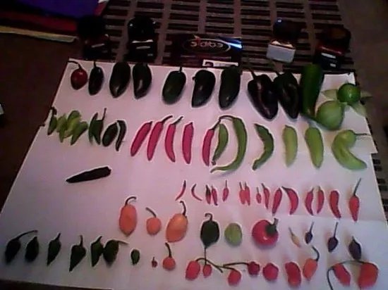 Edible Ornamentals