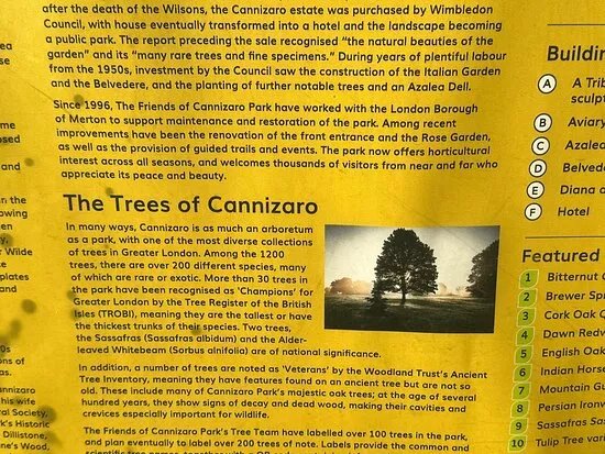 Cannizaro Park