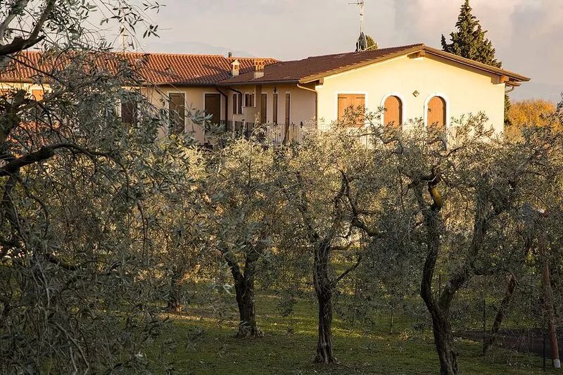 House in the Olive Trees-For a relaxing vacation at the lake.