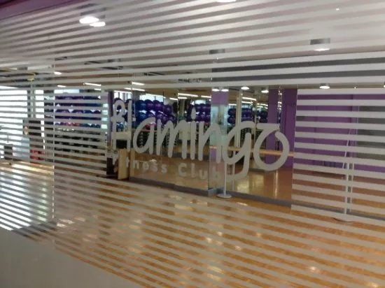 Flamingo Fitness