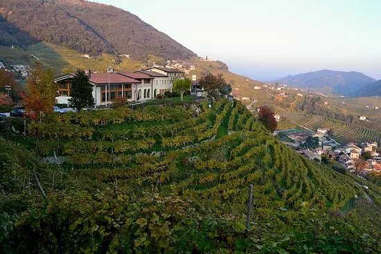 Italy and Wine - Wine Tours