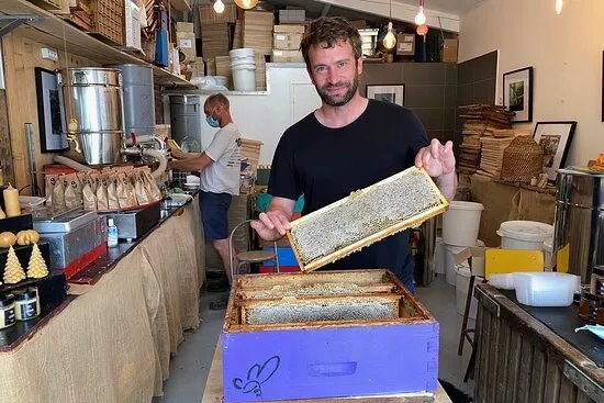 Abeilles et Miel