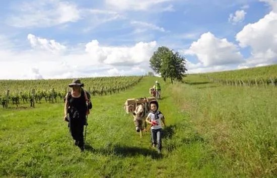 Les Anes de la Vallee du Lot